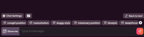 different chat prompt